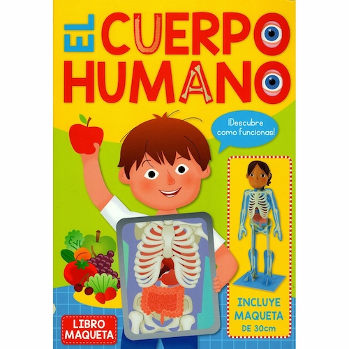 Esqueleto humano - Material escolar, oficina y nuevas tecnologias