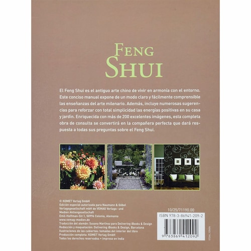 Feng Shui Ngv