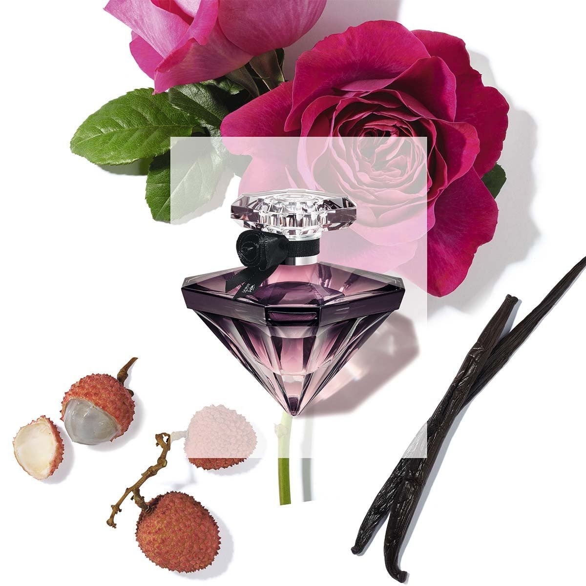 Tresor discount lancome sears