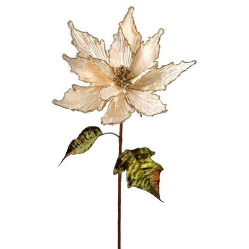 Flor Nochebuena Terciopelo Beige con Diamantina Oro