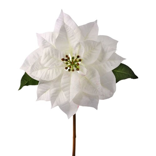 Flor Nochebuena Blanca Toque Natural 60 Cm