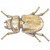 Figura de Poliresina Escarabajo Hormiga Running Decora