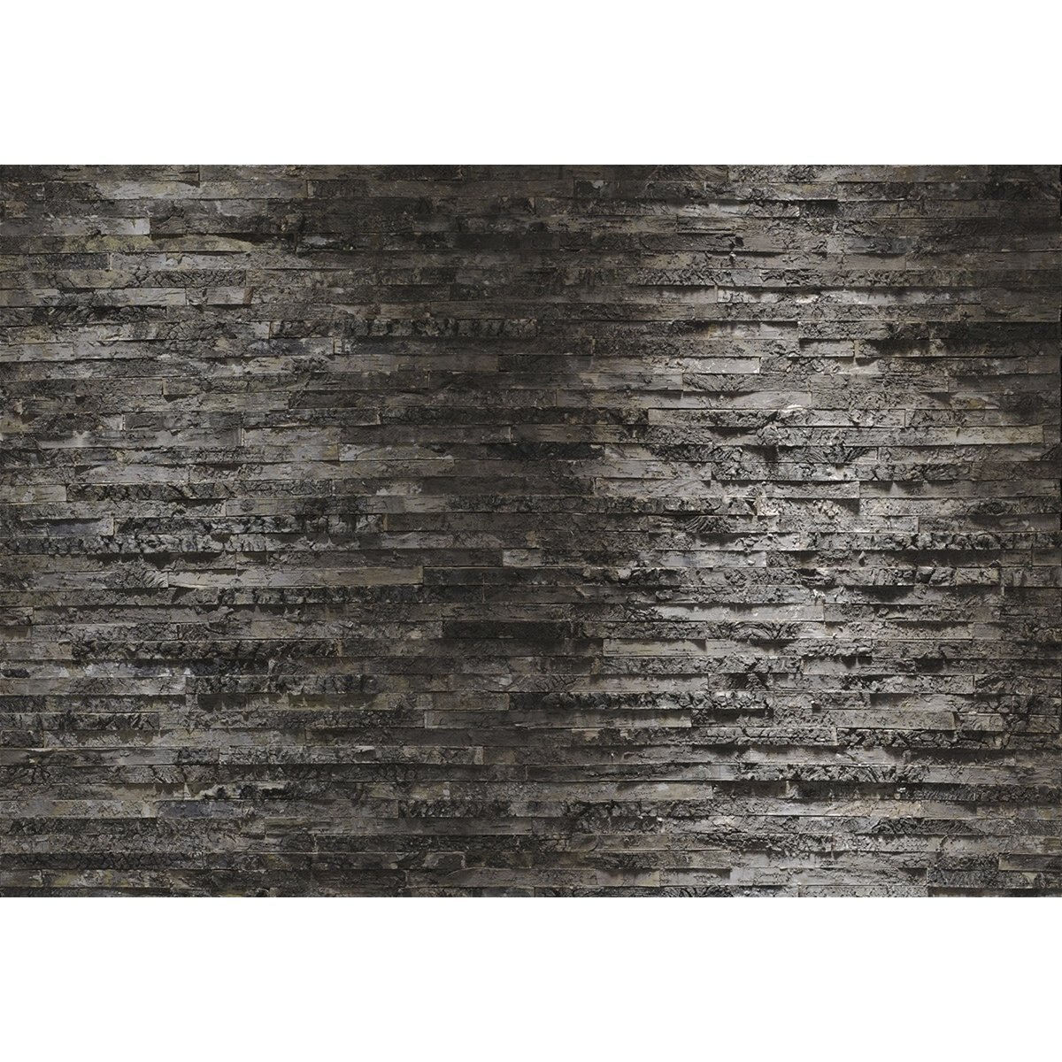 Fotomural Decorativo para Interiores 3.68 M. Ancho X 2.54 Alto Birkenride Debut