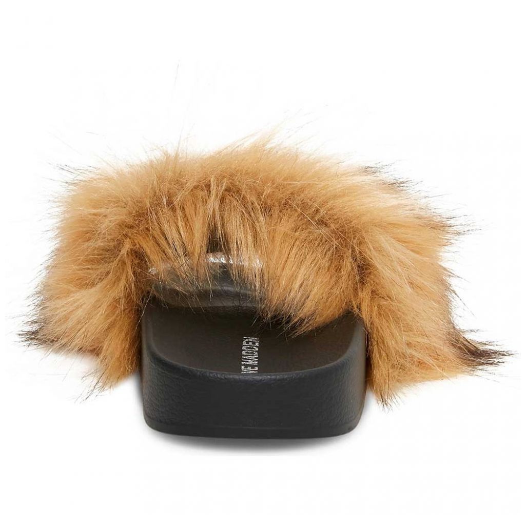 Pantufla Café de Moda Steve Madden