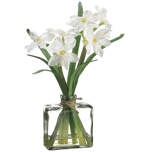 Narcissus Lottus Maceta Vidrio Blanco 12Cm