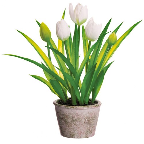 Tulipanes Blanco Lottus Maceta Papel Mache 13Cm