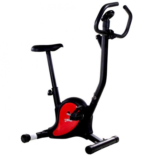 Bicicleta Fija Stingray