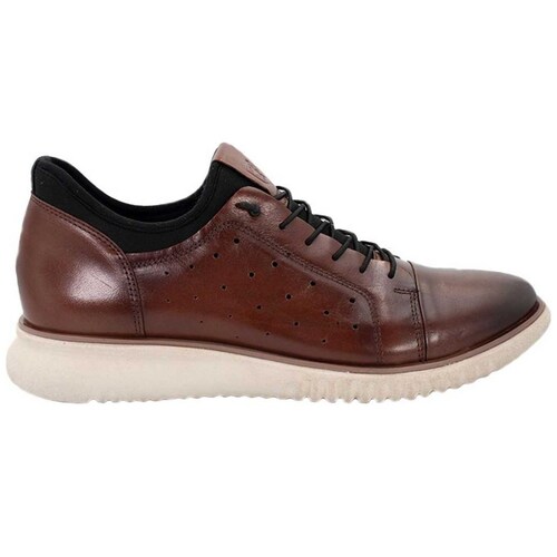 Tenis Piel Stacy Adams Modelo Elo 32092 Cg para Hombre