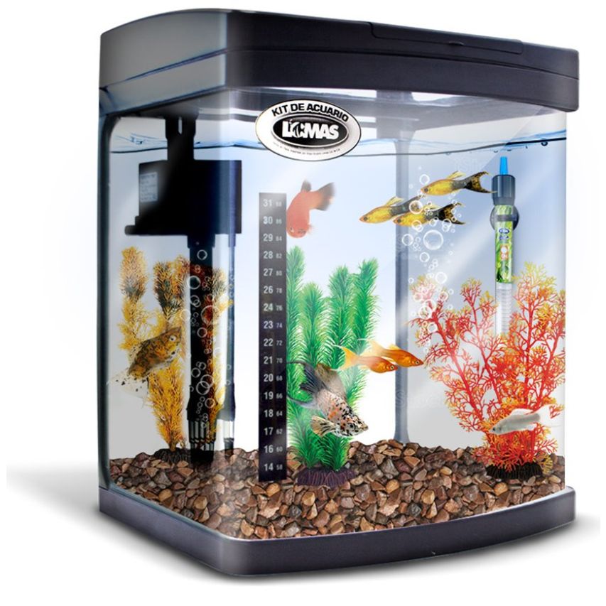 Kit de Acuario Rectangular 25 Lts Acuario Lomas