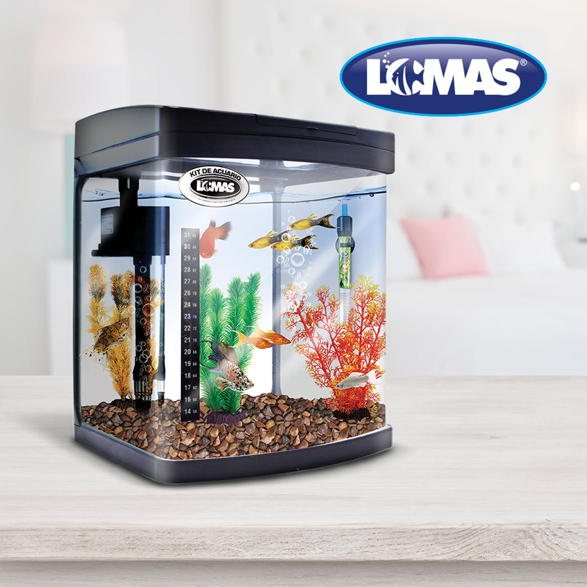 Kit de Acuario Rectangular 25 Lts Acuario Lomas