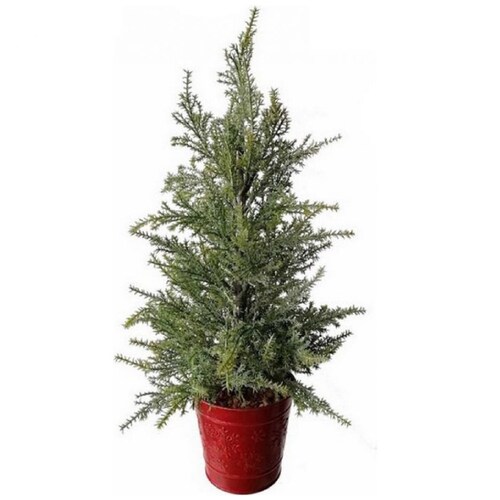 Arbolito de Cipr&eacute;s Verde en Maceta Roja Metalica 50Cm