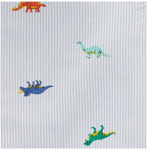 Camisa Manga Larga Carter's Modelo  3N008310 para Niño