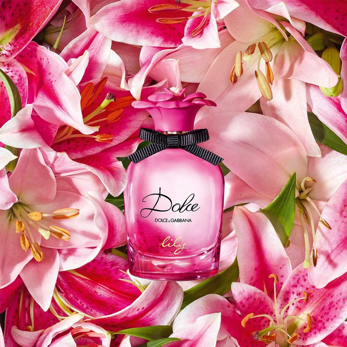 Fragancia para Mujer, Dolce & Gabbana Dolce Lily Edt 75 Ml