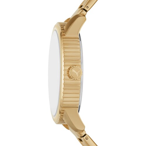 Reloj para Hombre  Puma Modelo P5079