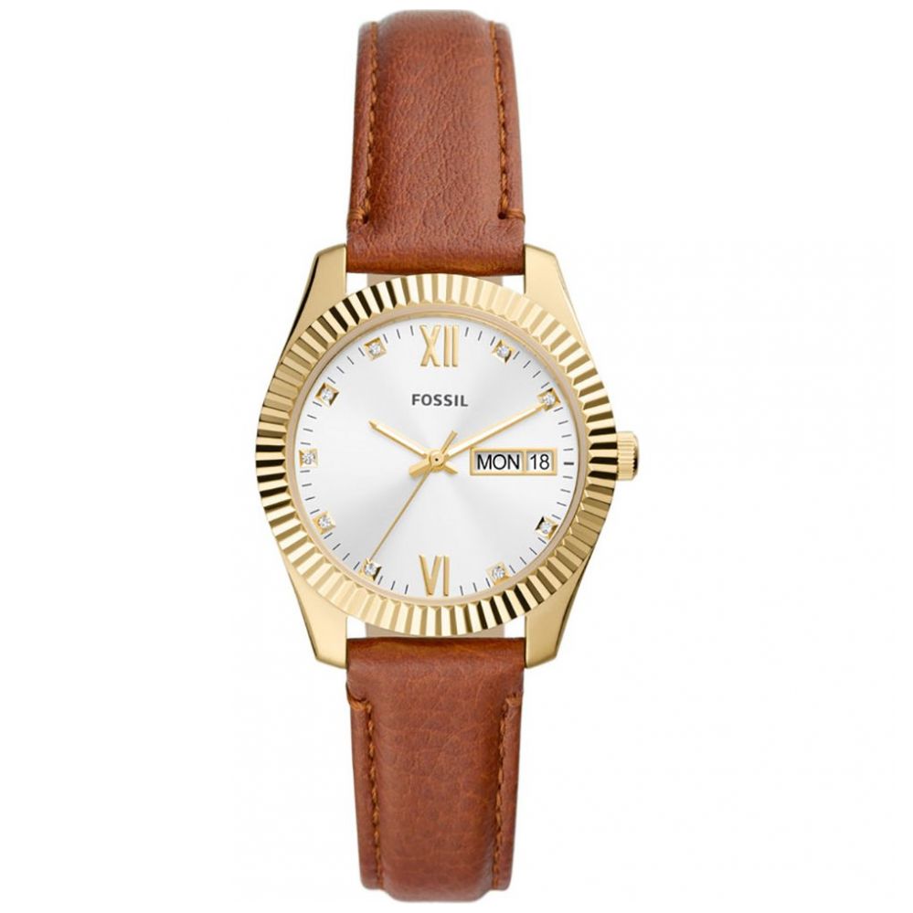 Encuentra relojes fossil a los mejores 