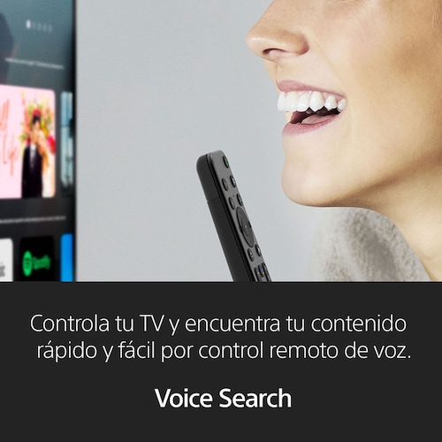 Pantalla Sony 65" 4K Google Tv Kd-65X80K