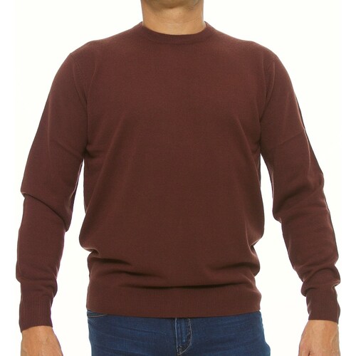 Suéter  Cuello Redondo Carlo Corinto para Hombre