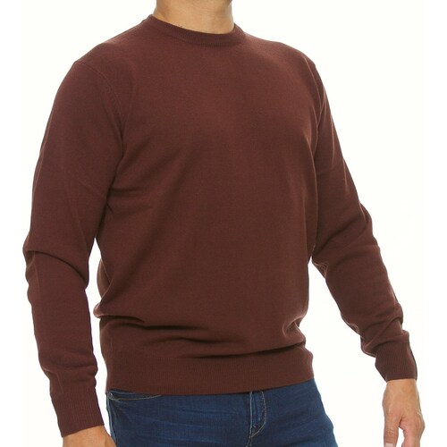 Suéter  Cuello Redondo Carlo Corinto para Hombre