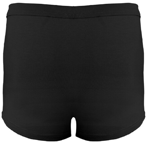 Bóxer Brief 2Pack Hanes para Hombre