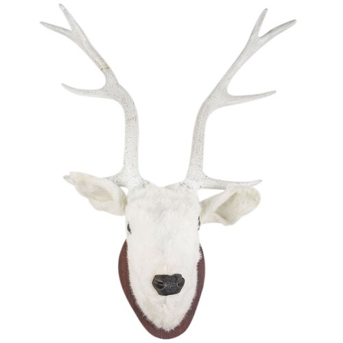 Cabeza de Venado Blanco para Pared 83 Cm Gto