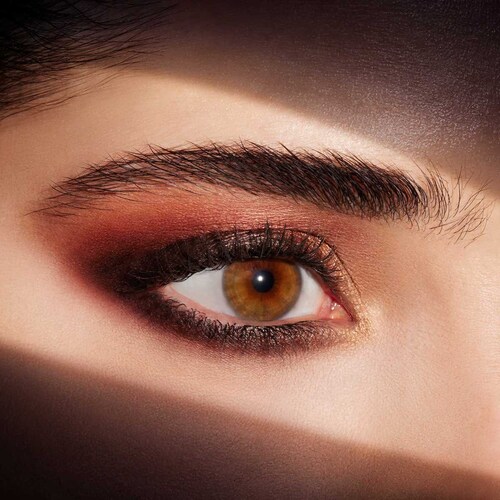 Sombra para Ojos Estee Lauder Pure Color Envy Luxe Wild Earth