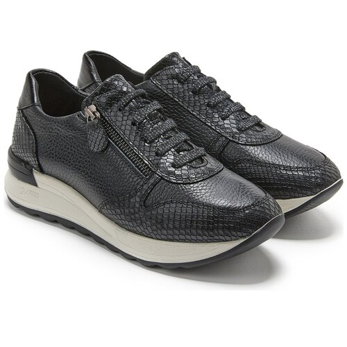 Tenis para Dama, Amarre con Cierre y Elásticos, Color Negro, 24Hrs.