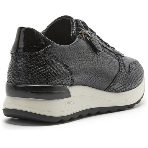 Tenis para Dama, Amarre con Cierre y Elásticos, Color Negro, 24Hrs.