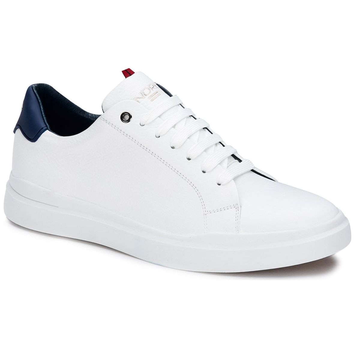 Tenis de best sale andrea para hombre