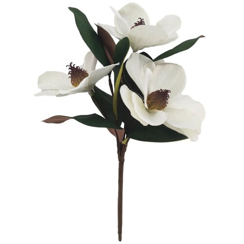 Ramo Magnolia Vintage Home