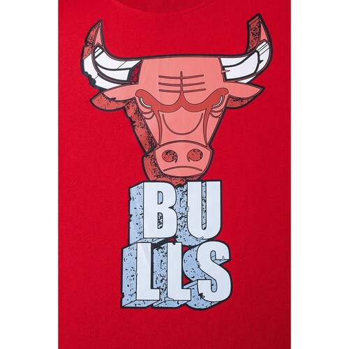 Playera Chicago Bulls Nba para Hombre