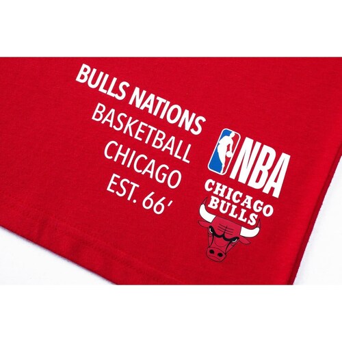 Playera Chicago Bulls Nba para Hombre