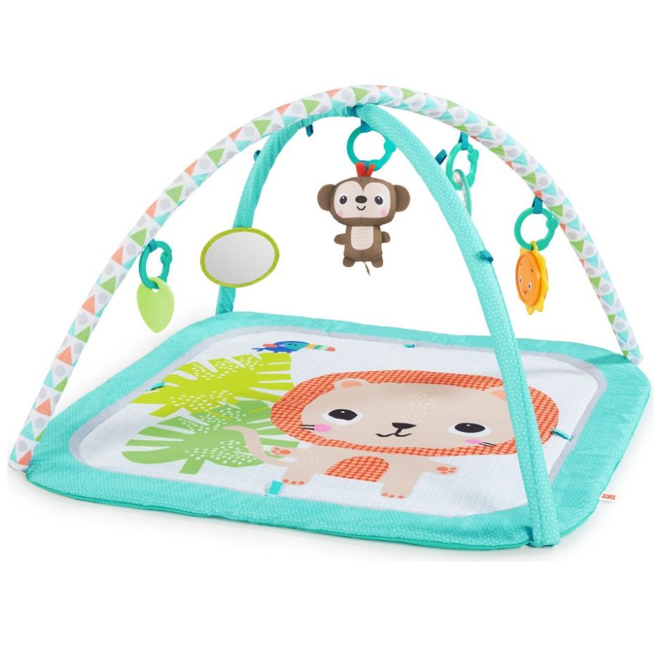 Gimnasio de Actividades Leon Bright Starts