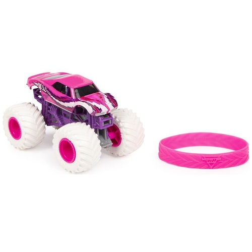 1:64 1 Pack Monster Jam