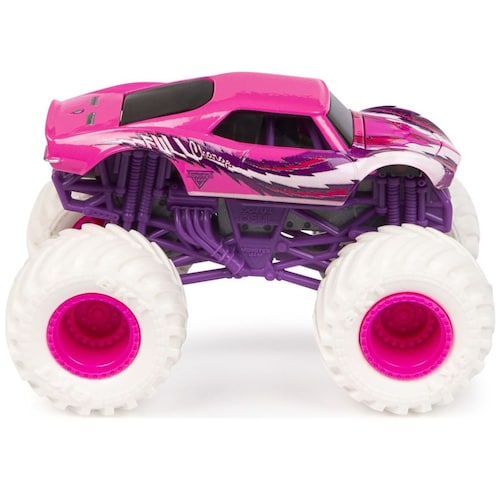 1:64 1 Pack Monster Jam