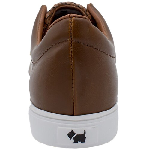 Tenis para Hombre Elástico Café Ferrioni