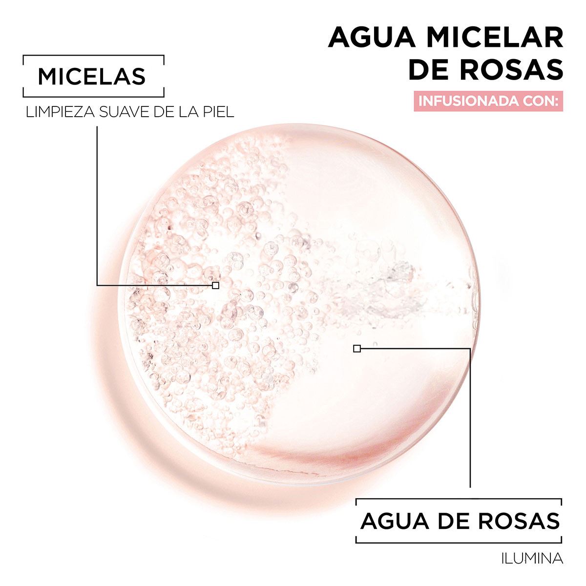 Garnier Micelar Agua De Rosas 400 ml image number 4