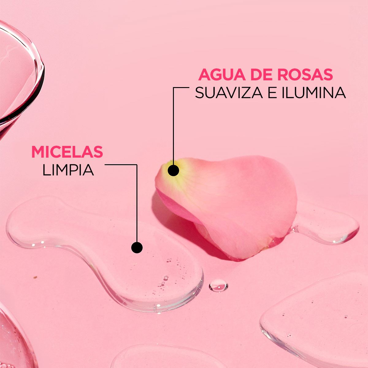 Garnier Micelar Agua De Rosas 400 ml image number 7