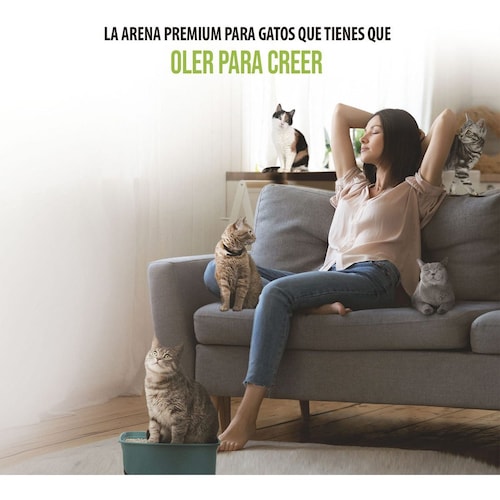Arena para Gato Skoon Inova
