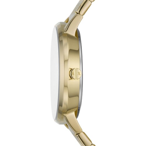 Reloj para Dama Marca Armani Exchange  Modelo Ax5586