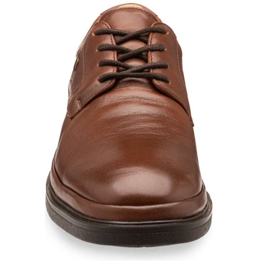 Zapatos best sale sears hombre