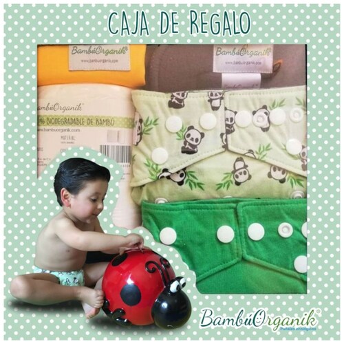Caja para Regalo de Pañales Reusables de Tela de Bambú Bambuu Organic B-001              