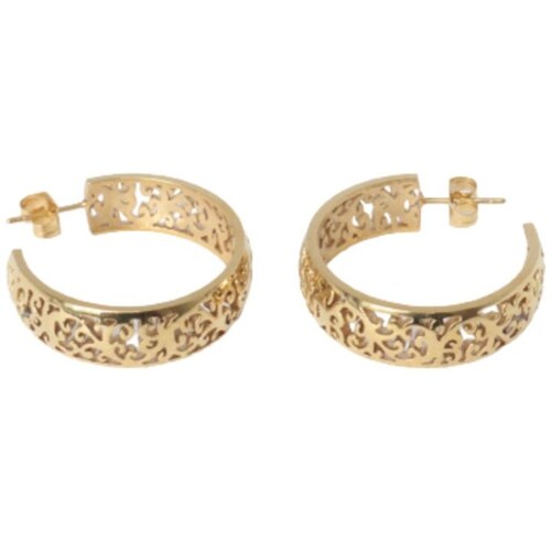 Aretes de Acero con Figuras