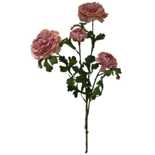 Ranunculus 19Cm Rosa Lottus