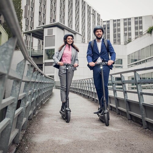 Patín Eléctrico Segway G30P 350W