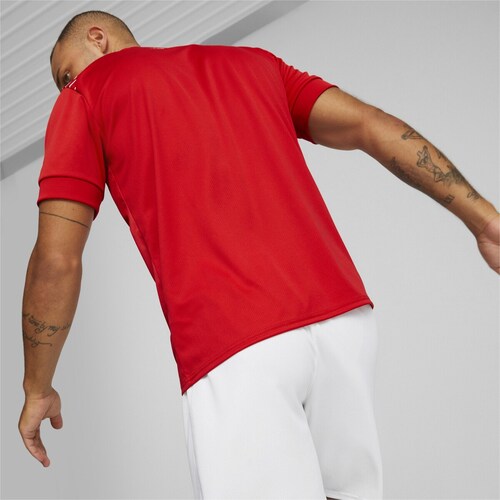 Jersey Rep Suiza Puma para Hombre
