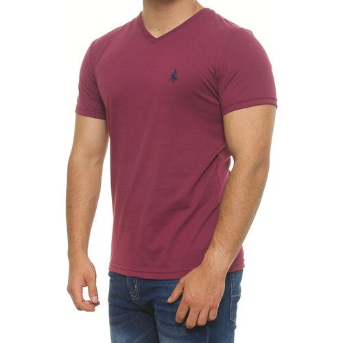 Playera Cuello V Manga Corta para Hombre Polo Club