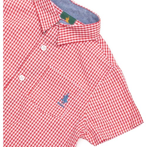 Conjunto Royal Polo Club Camisa Y Short Gabardina con Cinturón para Niño