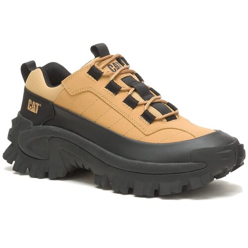 Tenis Caterpillar Café