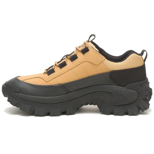 Tenis Caterpillar Café