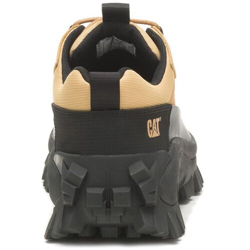 Tenis Caterpillar Café